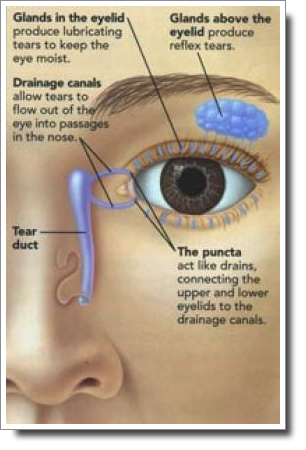 Dry Eye Exams